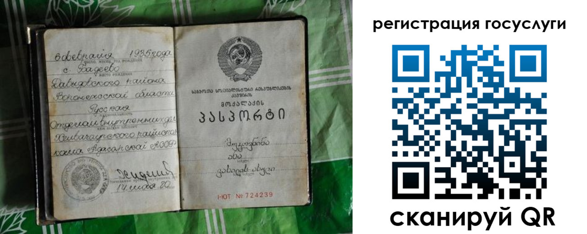 прописка в квартире в Пушкино